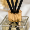 img_1723 Mango Oudh